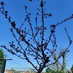 Quinta Do Gestal - Soutelo - Retiro Rural No Minho Natureza & Sossego Perto De Braga 홈스테이 빌라 베르데