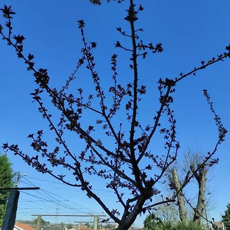 Quinta Do Gestal - Soutelo - Retiro Rural No Minho Natureza & Sossego Perto De Braga 홈스테이 빌라 베르데