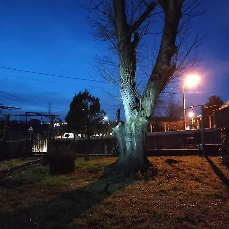 Quinta Do Gestal - Soutelo - Retiro Rural No Minho Natureza & Sossego Perto De Braga 民宿 韦尔迪镇