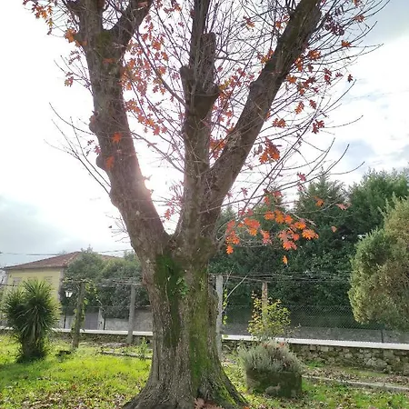 Quinta Do Gestal - Soutelo Alloggio in famiglia Vila Verde (Braga)