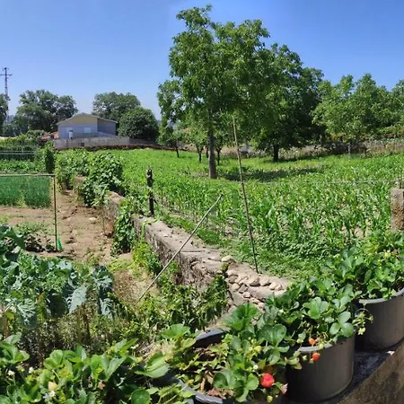 民宿 Quinta Do Gestal - Soutelo - Retiro Rural No Minho Natureza & Sossego Perto De Braga 韦尔迪镇