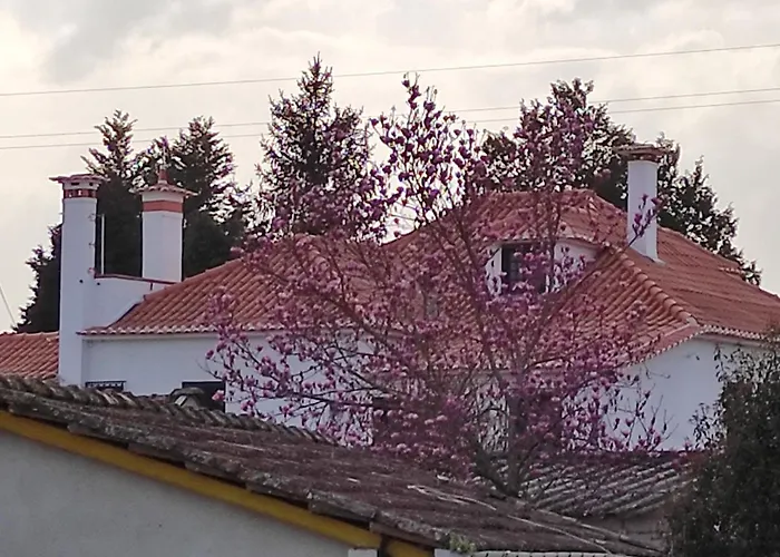 Quinta Do Gestal - Soutelo - Retiro Rural No Minho Natureza & Sossego Perto De Braga Vila Verde (Braga)