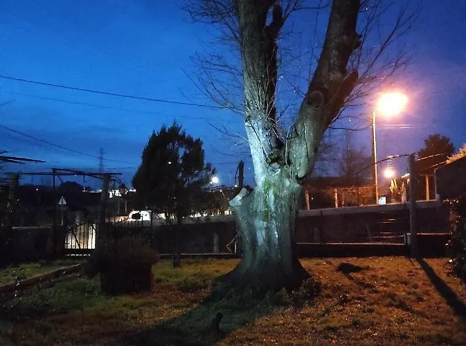 Quinta Do Gestal - Soutelo - Retiro Rural No Minho Natureza & Sossego Perto De Braga ホームステイ ヴィーラ・ヴェルデ