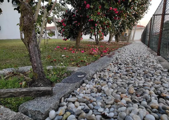 Pansiyon Quinta Do Gestal - Soutelo - Retiro Rural No Minho Natureza & Sossego Perto De Braga Vila Verde (Braga)