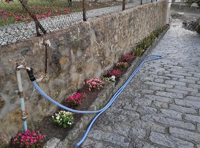 ホームステイ Quinta Do Gestal - Soutelo - Retiro Rural No Minho Natureza & Sossego Perto De Braga ヴィーラ・ヴェルデ