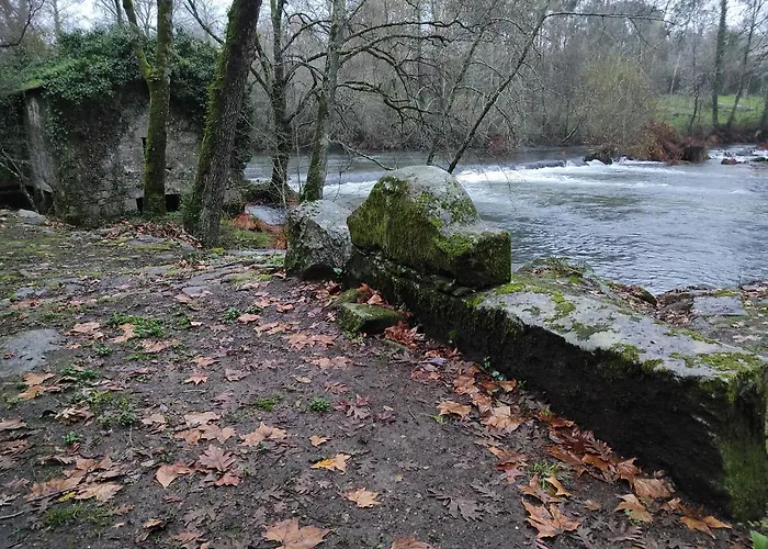 Quinta Do Gestal - Soutelo - Retiro Rural No Minho Natureza & Sossego Perto De Braga ホームステイ