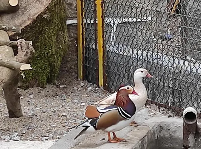 Quinta Do Gestal - Soutelo - Retiro Rural No Minho Natureza & Sossego Perto De Braga *