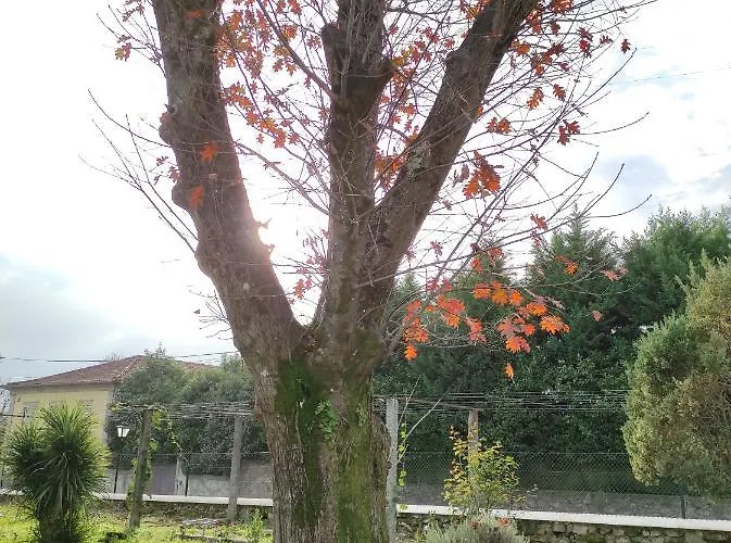 Quinta Do Gestal - Soutelo - Retiro Rural No Minho Natureza & Sossego Perto De Braga Alloggio in famiglia Vila Verde (Braga)