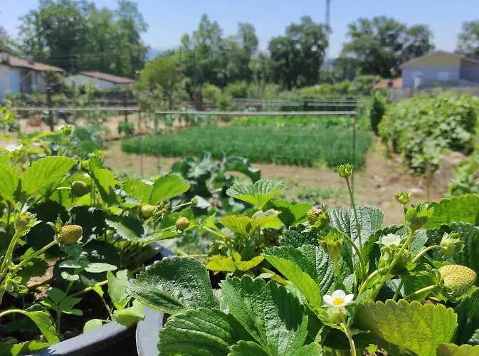 Quinta Do Gestal - Soutelo - Retiro Rural No Minho Natureza & Sossego Perto De Braga Rum i privatbostad *