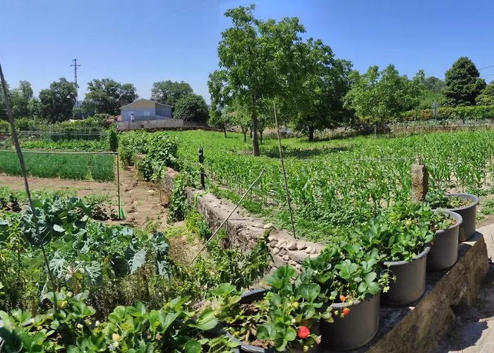 ホームステイ Quinta Do Gestal - Soutelo - Retiro Rural No Minho Natureza & Sossego Perto De Braga ヴィーラ・ヴェルデ